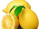 Alphonso Mango Pulp
